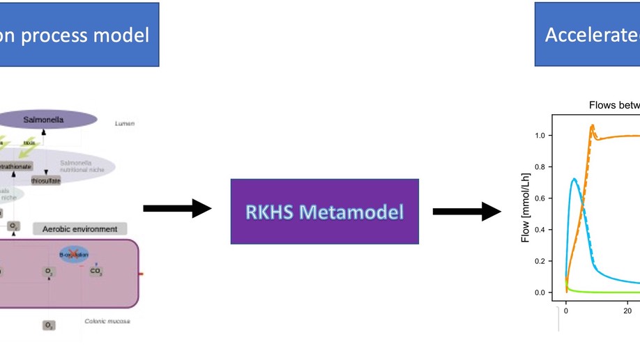 Accelerating metabolic models evaluation with statistical metamodels - application to Salmonella infection models
